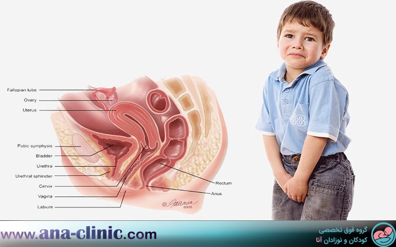 فوق تخصص کلیه و مجاری ادراری - پزشک فوق تخصص کلیه و مجاری ادراری - کلینیک کودکان آنا